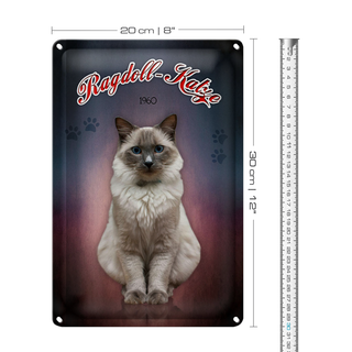 Blechschild Katze 20x30cm Ragdoll Katze 1960 Wanddeko