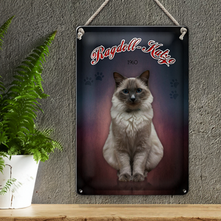 Blechschild Katze 20x30cm Ragdoll Katze 1960 Wanddeko