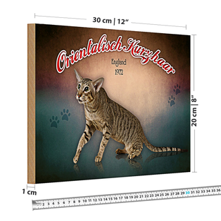 Holzschild Katze 30x20cm Orientalisch Kurzhaar England