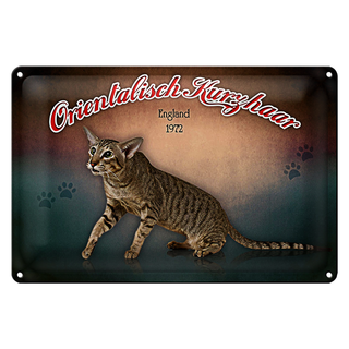 Blechschild Katze 30x20cm Orientalisch Kurzhaar England