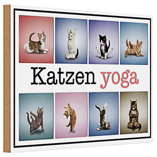 Holzschild Katze 30x20cm Katzen Yoga bunte Dekoration