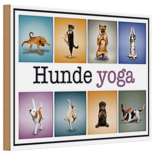 Holzschild 30x20cm Hunde Yoga bunte Dekoration