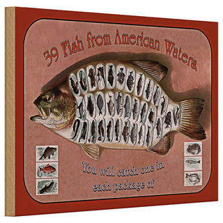 Holzschild Fisch 30x20cm 39 Fish from american Waters