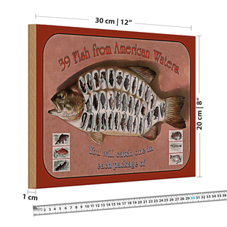 Holzschild Fisch 30x20cm 39 Fish from american Waters