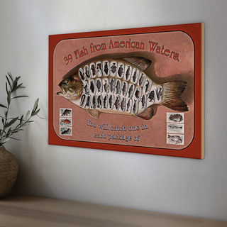 Holzschild Fisch 30x20cm 39 Fish from american Waters