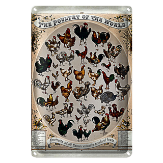 Blechschild Geflügelart 20x30cm the poultry of the worls