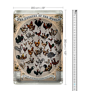 Blechschild Geflügelart 20x30cm the poultry of the worls
