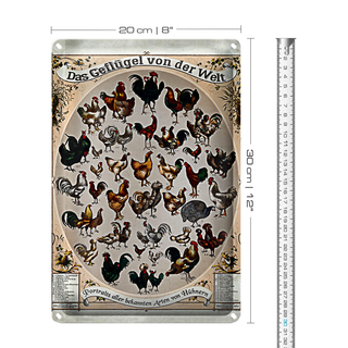 Blechschild Geflügelart 20x30cm das Geflügel von der Welt