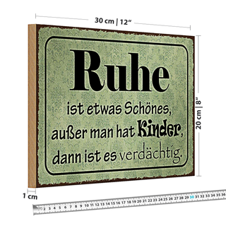 Holzschild Spruch 30x20cm Ruhe ist etwas schönes außer