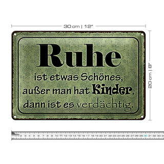 Blechschild Spruch 30x20cm Ruhe ist etwas schönes außer