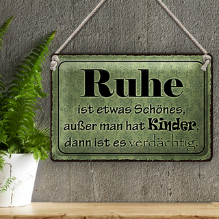 Blechschild Spruch 30x20cm Ruhe ist etwas schönes außer