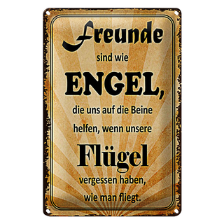 Blechschild Spruch 20x30cm Freunde sind wie Engel die uns
