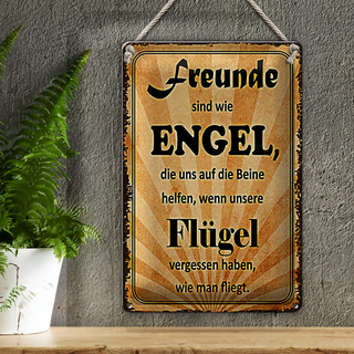 Blechschild Spruch 20x30cm Freunde sind wie Engel die uns