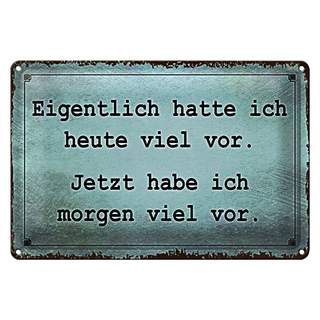 Blechschild Spruch 30x20cm eigentlich hatte ich viel vor