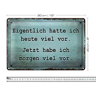 Blechschild Spruch 30x20cm eigentlich hatte ich viel vor