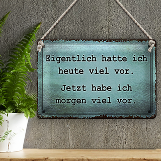 Blechschild Spruch 30x20cm eigentlich hatte ich viel vor