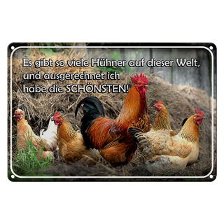 Blechschild Spruch 30x20cm es gibt so viele Hühner und