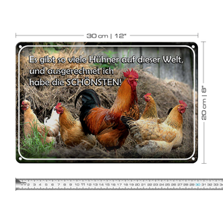 Blechschild Spruch 30x20cm es gibt so viele Hühner und