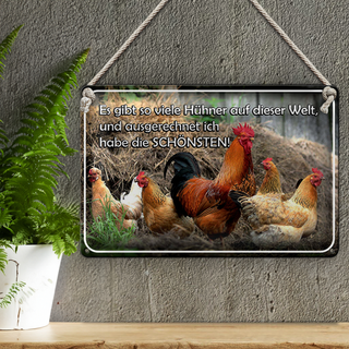 Blechschild Spruch 30x20cm es gibt so viele Hühner und