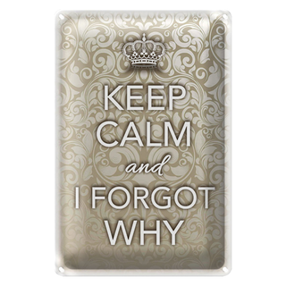 Blechschild Spruch 20x30cm Keep Calm and i forgot why