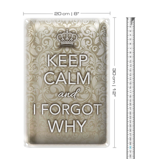 Blechschild Spruch 20x30cm Keep Calm and i forgot why