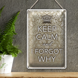 Blechschild Spruch 20x30cm Keep Calm and i forgot why