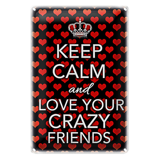 Blechschild Spruch 20x30cm Keep Calm and love crazy friends