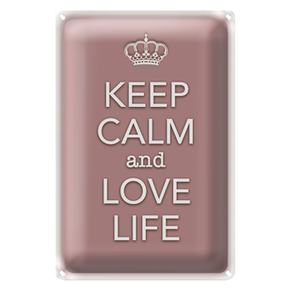 Blechschild Spruch 20x30cm Keep Calm and love life