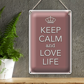 Blechschild Spruch 20x30cm Keep Calm and love life