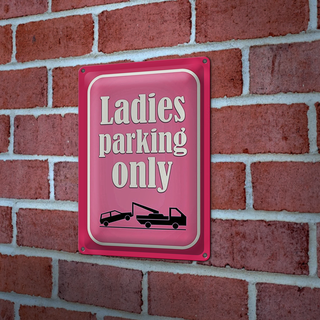 Blechschild Parken 20x30cm Ladies parking only rosa