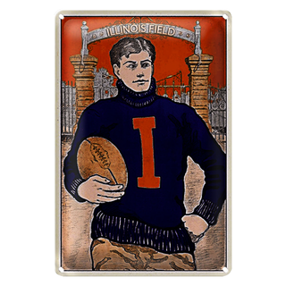Blechschild American Football 20x30cm Illinois field