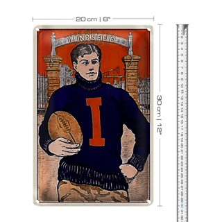 Blechschild American Football 20x30cm Illinois field