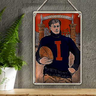 Blechschild American Football 20x30cm Illinois field