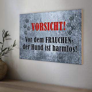 Holzschild Vorsicht 30x20cm vor dem Frauchen Hund harmlos