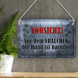 Blechschild Vorsicht 30x20cm vor dem Frauchen Hund harmlos