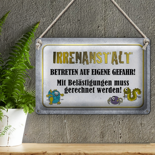 Blechschild Spruch 30x20cm Irrenanstalt betreten Gefahr