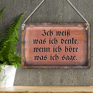 Blechschild Spruch 30x20cm ich weiß was ich denke wenn