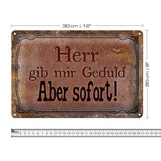 Blechschild Spruch 30x20cm Herr gib mir Geduld aber sofort