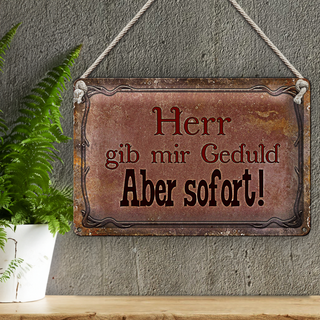 Blechschild Spruch 30x20cm Herr gib mir Geduld aber sofort
