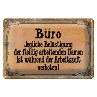 Blechschild Spruch 30x20cm Büro Belästigung der Damen