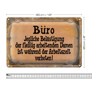 Blechschild Spruch 30x20cm Büro Belästigung der Damen