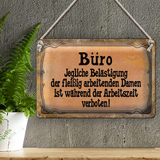 Blechschild Spruch 30x20cm Büro Belästigung der Damen