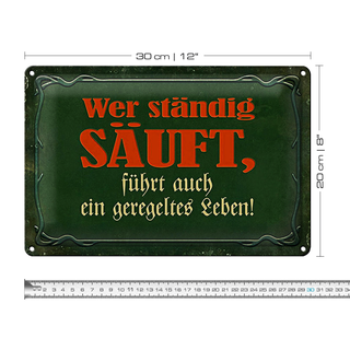 Blechschild Spruch 30x20cm wer ständig säuft führt auch