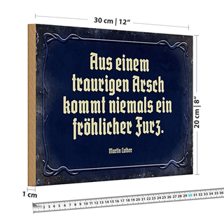 Holzschild Spruch 30x20cm aus einem traurigen Arsch kommt