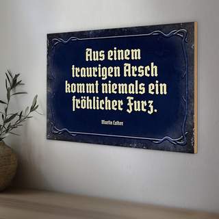 Holzschild Spruch 30x20cm aus einem traurigen Arsch kommt