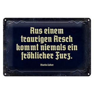 Blechschild Spruch 30x20cm aus einem traurigen Arsch kommt