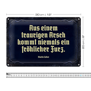 Blechschild Spruch 30x20cm aus einem traurigen Arsch kommt