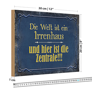 Holzschild Spruch 30x20cm Welt ist ein Irrenhaus und