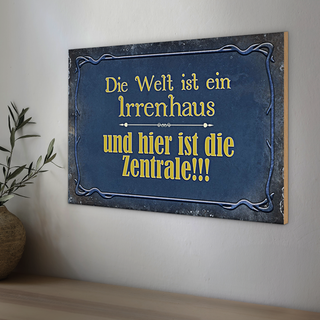 Holzschild Spruch 30x20cm Welt ist ein Irrenhaus und
