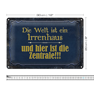 Blechschild Spruch 30x20cm Welt ist ein Irrenhaus und